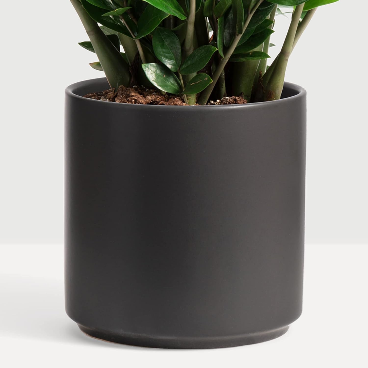 8 Inch Black Ceramic Planter. Classic Cylinder Plant Pot for House Plants and Indoor Plants (Drainage + Stopper Included).